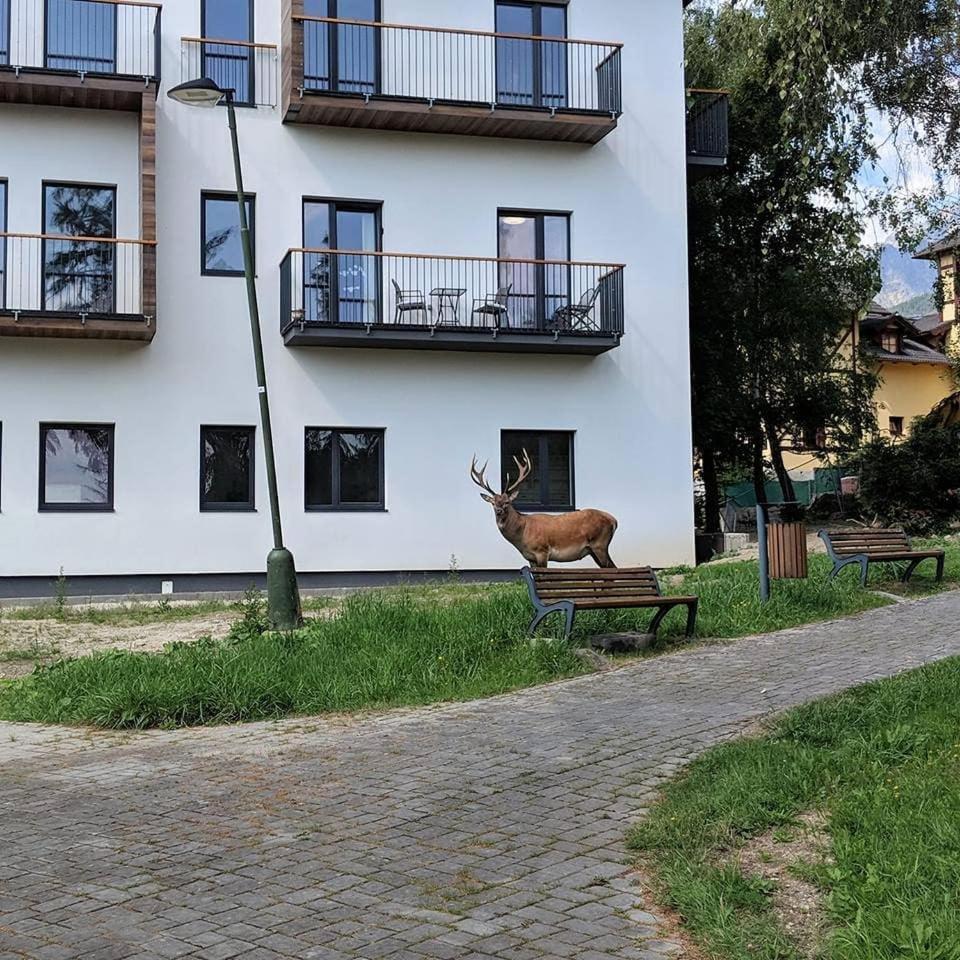 Apartman Hory - V Srdci Tatier Vysoke Tatry Exterior photo